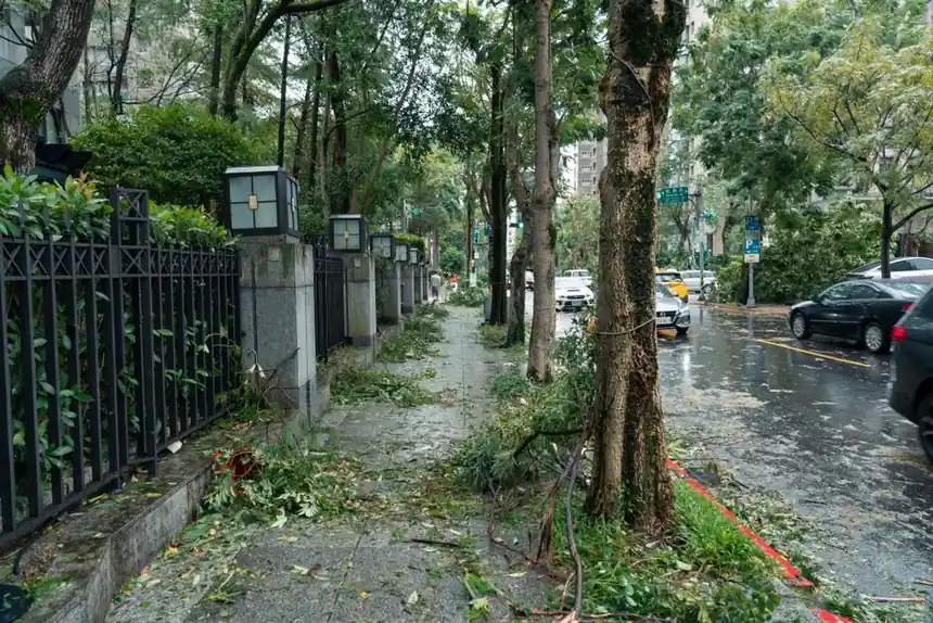 Street in Taipei affected by typhoon showing fallen branches and debris.